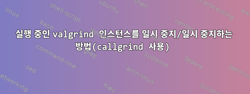 실행 중인 valgrind 인스턴스를 일시 중지/일시 중지하는 방법(callgrind 사용)