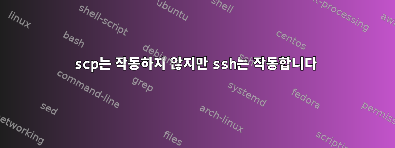 scp는 작동하지 않지만 ssh는 작동합니다