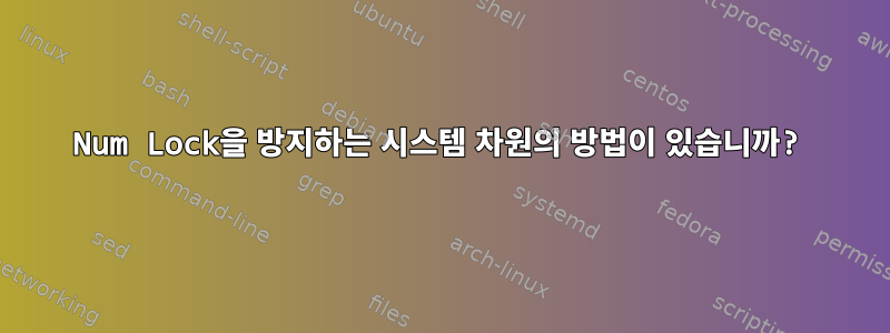 Num Lock을 방지하는 시스템 차원의 방법이 있습니까?