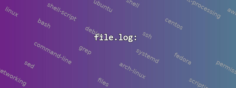 file.log: