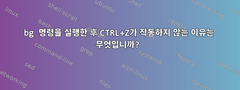 bg 명령을 실행한 후 CTRL+Z가 작동하지 않는 이유는 무엇입니까?