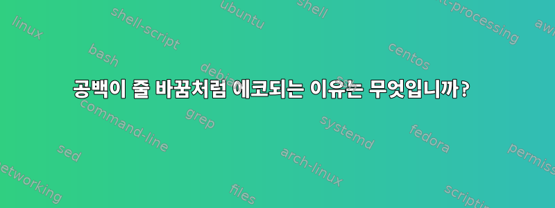 공백이 줄 바꿈처럼 에코되는 이유는 무엇입니까?