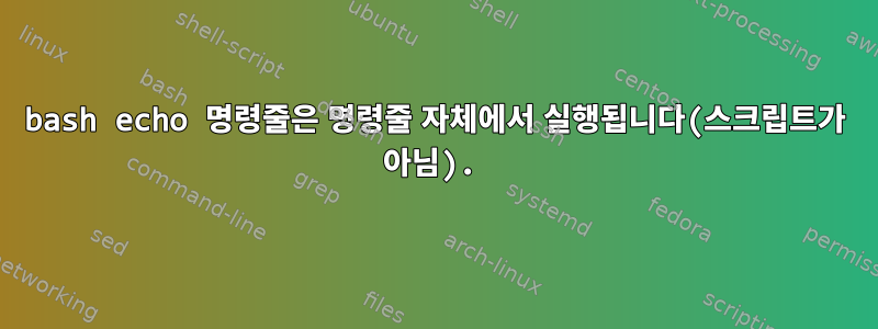 bash echo 명령줄은 명령줄 자체에서 실행됩니다(스크립트가 아님).