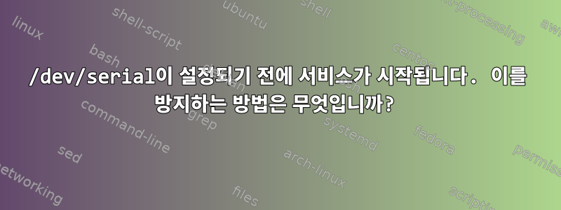 /dev/serial이 설정되기 전에 서비스가 시작됩니다. 이를 방지하는 방법은 무엇입니까?