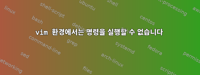 vim 환경에서는 명령을 실행할 수 없습니다