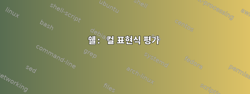 쉘: 컬 표현식 평가