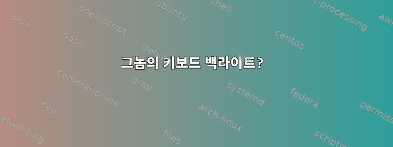 그놈의 키보드 백라이트?