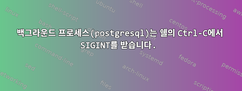 백그라운드 프로세스(postgresql)는 쉘의 Ctrl-C에서 SIGINT를 받습니다.