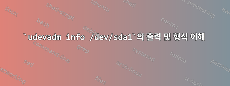 `udevadm info /dev/sda1`의 출력 및 형식 이해