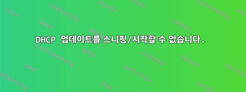 DHCP 업데이트를 스니핑/시작할 수 없습니다.