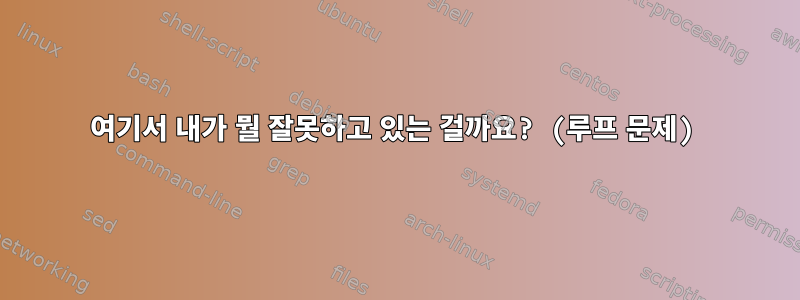 여기서 내가 뭘 잘못하고 있는 걸까요? (루프 문제)