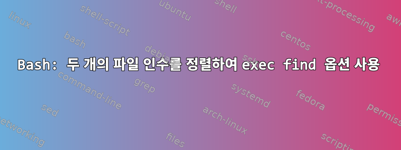 Bash: 두 개의 파일 인수를 정렬하여 exec find 옵션 사용