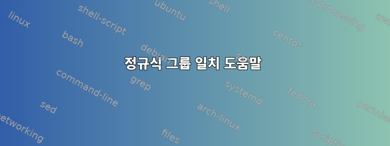 정규식 그룹 일치 도움말