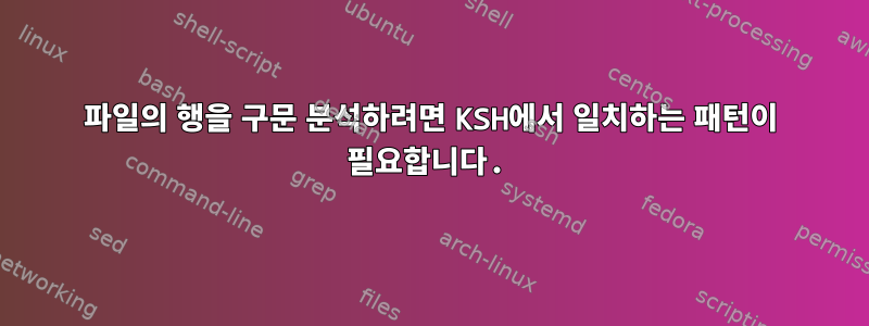 파일의 행을 구문 분석하려면 KSH에서 일치하는 패턴이 필요합니다.