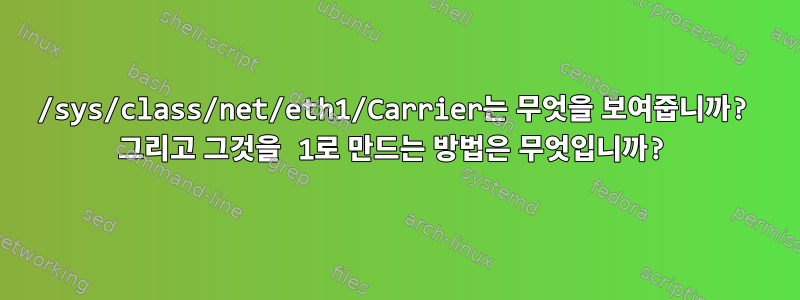 /sys/class/net/eth1/Carrier는 무엇을 보여줍니까? 그리고 그것을 1로 만드는 방법은 무엇입니까?