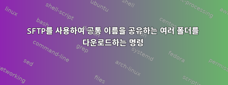 SFTP를 사용하여 공통 이름을 공유하는 여러 폴더를 다운로드하는 명령