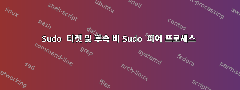 Sudo 티켓 및 후속 비 Sudo 피어 프로세스