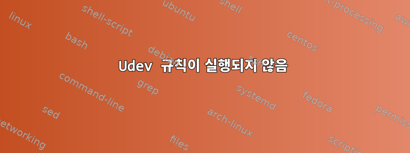 Udev 규칙이 실행되지 않음