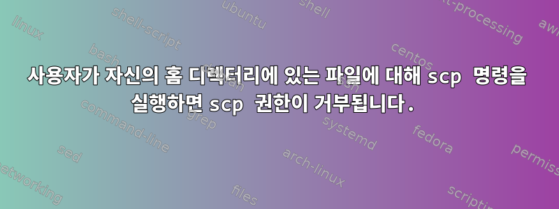 사용자가 자신의 홈 디렉터리에 있는 파일에 대해 scp 명령을 실행하면 scp 권한이 거부됩니다.