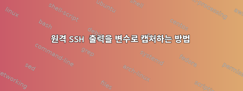 원격 SSH 출력을 변수로 캡처하는 방법