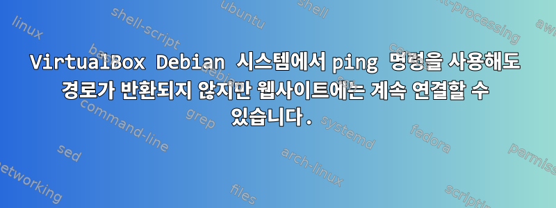 VirtualBox Debian 시스템에서 ping 명령을 사용해도 경로가 반환되지 않지만 웹사이트에는 계속 연결할 수 있습니다.