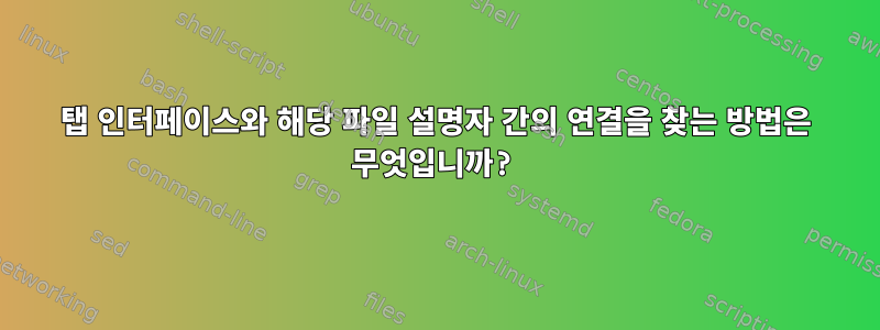 탭 인터페이스와 해당 파일 설명자 간의 연결을 찾는 방법은 무엇입니까?