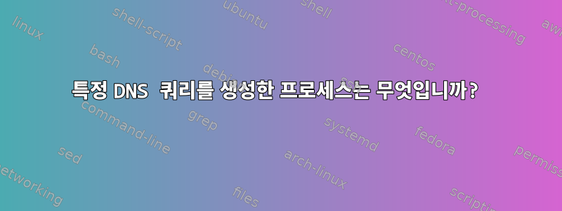 특정 DNS 쿼리를 생성한 프로세스는 무엇입니까?