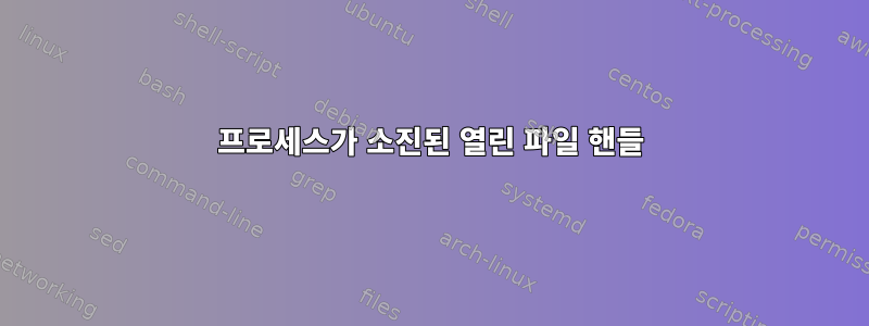 프로세스가 소진된 열린 파일 핸들