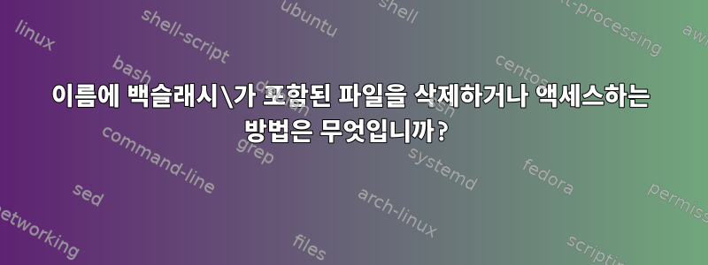 이름에 백슬래시\가 포함된 파일을 삭제하거나 액세스하는 방법은 무엇입니까?