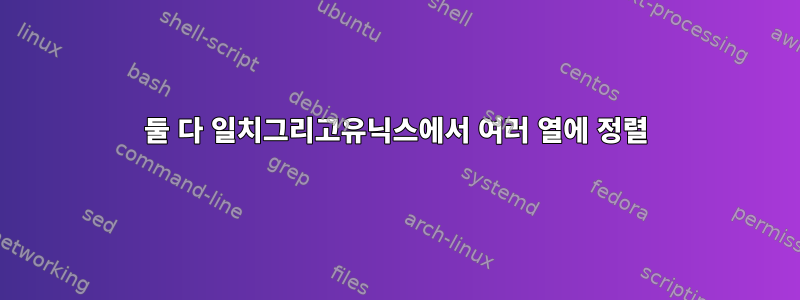 둘 다 일치그리고유닉스에서 여러 열에 정렬