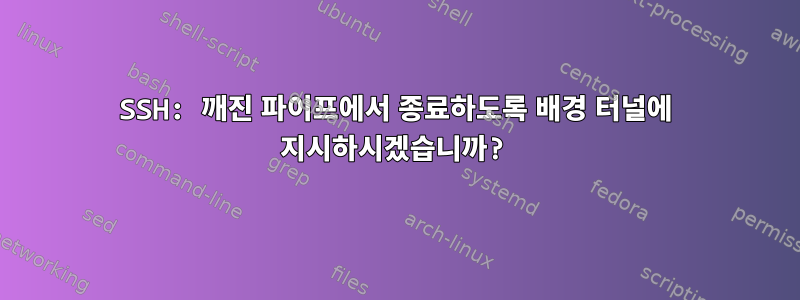 SSH: 깨진 파이프에서 종료하도록 배경 터널에 지시하시겠습니까?