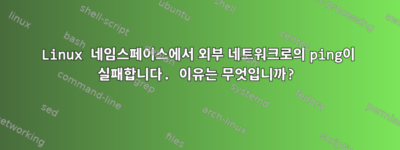 Linux 네임스페이스에서 외부 네트워크로의 ping이 실패합니다. 이유는 무엇입니까?