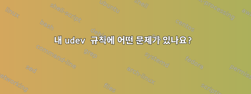 내 udev 규칙에 어떤 문제가 있나요?