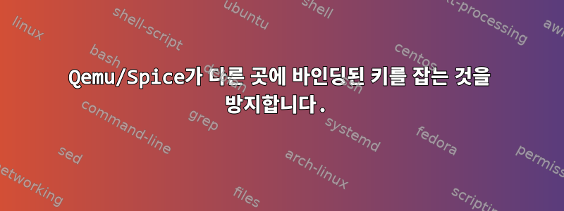 Qemu/Spice가 다른 곳에 바인딩된 키를 잡는 것을 방지합니다.