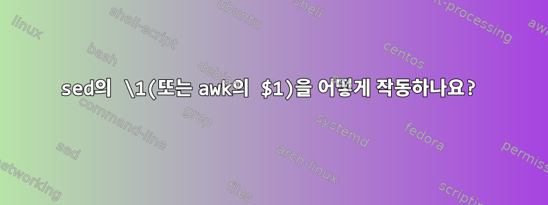 sed의 \1(또는 awk의 $1)을 어떻게 작동하나요?