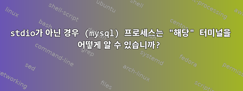 stdio가 아닌 경우 (mysql) 프로세스는 "해당" 터미널을 어떻게 알 수 있습니까?