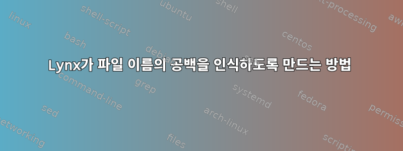 Lynx가 파일 이름의 공백을 인식하도록 만드는 방법