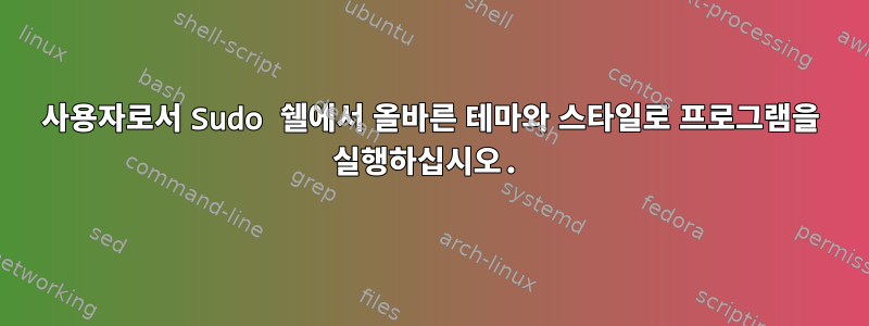 사용자로서 Sudo 쉘에서 올바른 테마와 스타일로 프로그램을 실행하십시오.