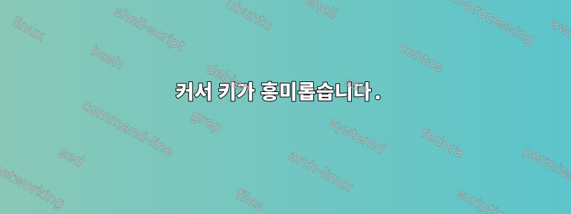 커서 키가 흥미롭습니다.