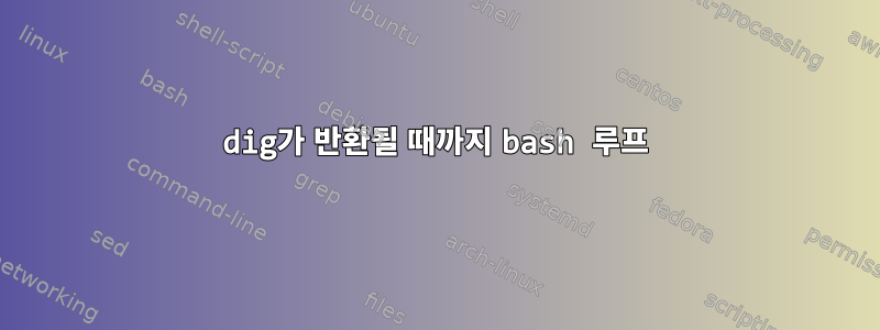 dig가 반환될 때까지 bash 루프