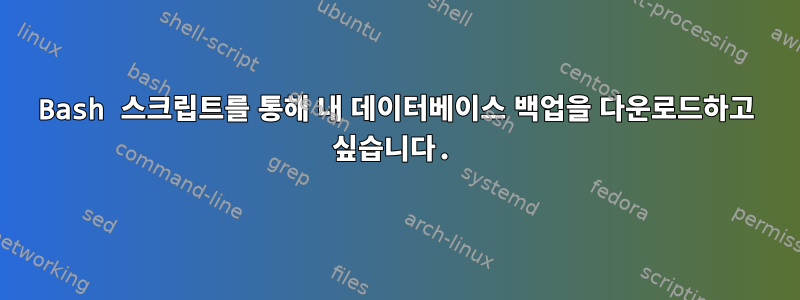 Bash 스크립트를 통해 내 데이터베이스 백업을 다운로드하고 싶습니다.