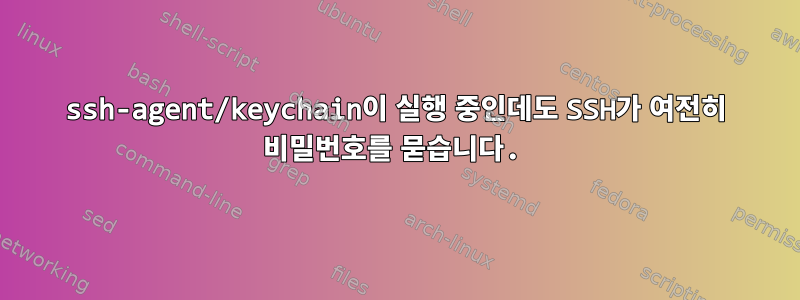 ssh-agent/keychain이 실행 중인데도 SSH가 여전히 비밀번호를 묻습니다.