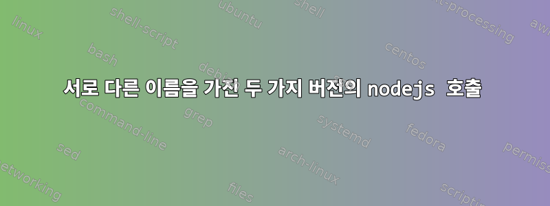 서로 다른 이름을 가진 두 가지 버전의 nodejs 호출