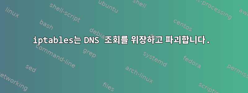 iptables는 DNS 조회를 위장하고 파괴합니다.