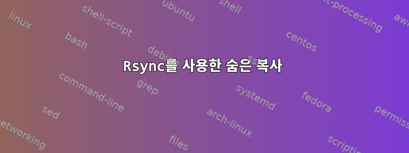 Rsync를 사용한 숨은 복사