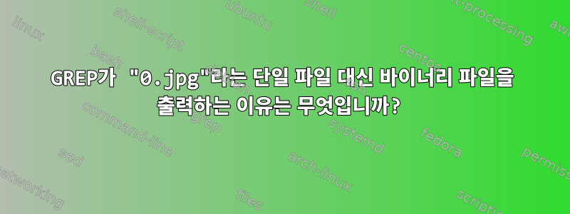 GREP가 "0.jpg"라는 단일 파일 대신 바이너리 파일을 출력하는 이유는 무엇입니까?