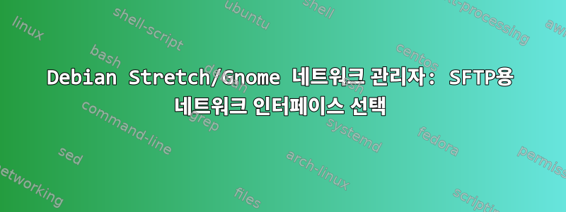 Debian Stretch/Gnome 네트워크 관리자: SFTP용 네트워크 인터페이스 선택