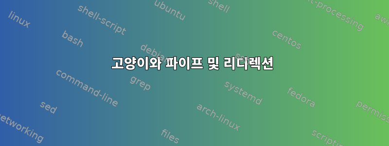 고양이와 파이프 및 리디렉션