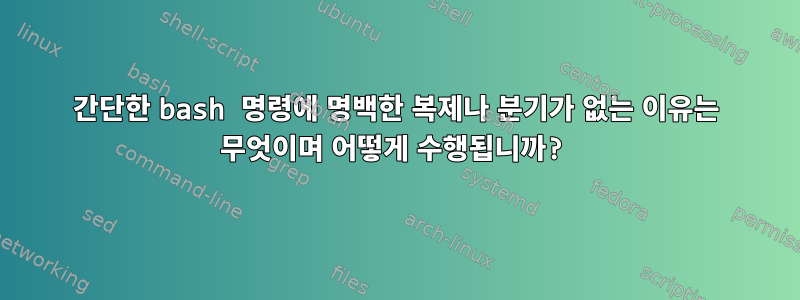 간단한 bash 명령에 명백한 복제나 분기가 없는 이유는 무엇이며 어떻게 수행됩니까?