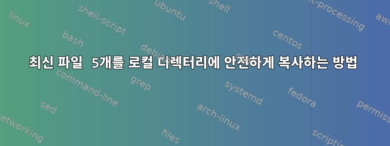 최신 파일 5개를 로컬 디렉터리에 안전하게 복사하는 방법